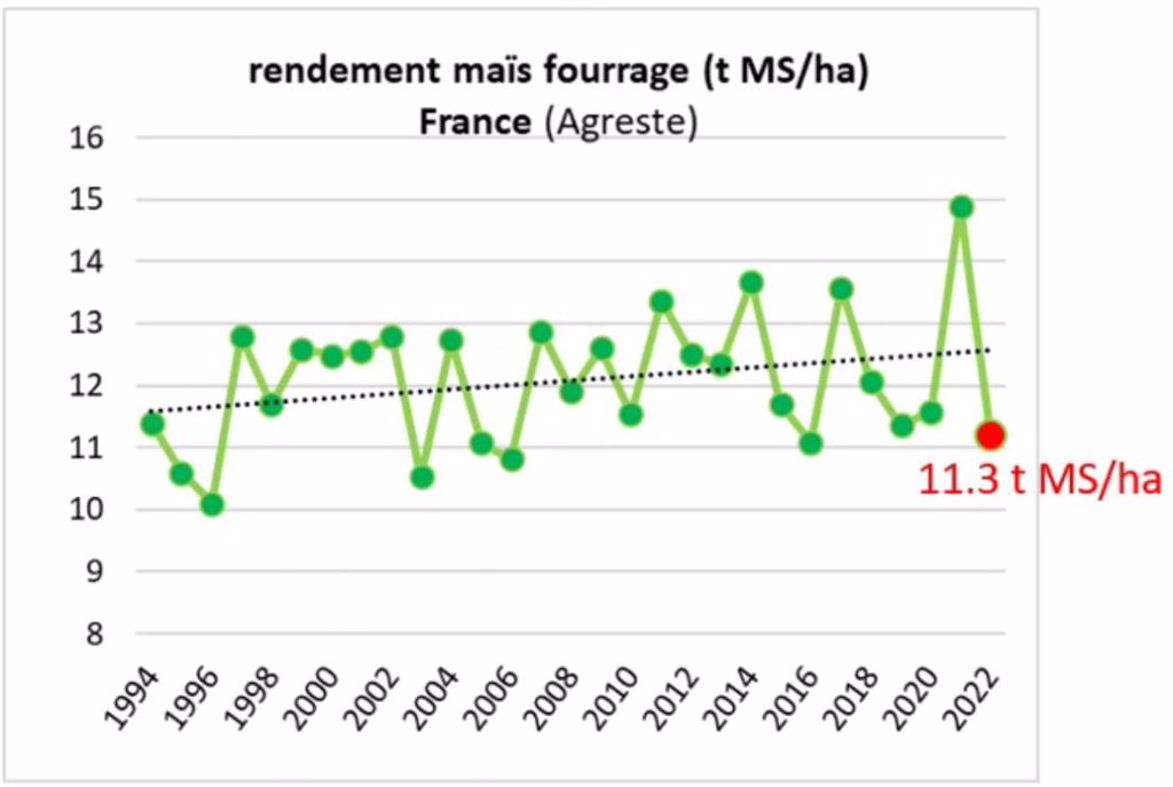 Bilan de la campagne maïs fourrage 2022 rendement et valeurs alimentaires