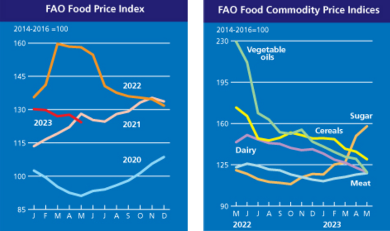 Evolution Des Prix Alimentaires Mondiaux En Mai Selon La Fao