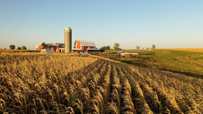 Les Chiffres Agricoles Aux USA En 2022 Selon Le Recensement Agricole