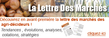 Cliquez ici pour en savoir plus sur la lettre des marchés