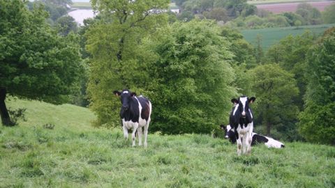 Opportunité de parler d’agriculture et d’avenir