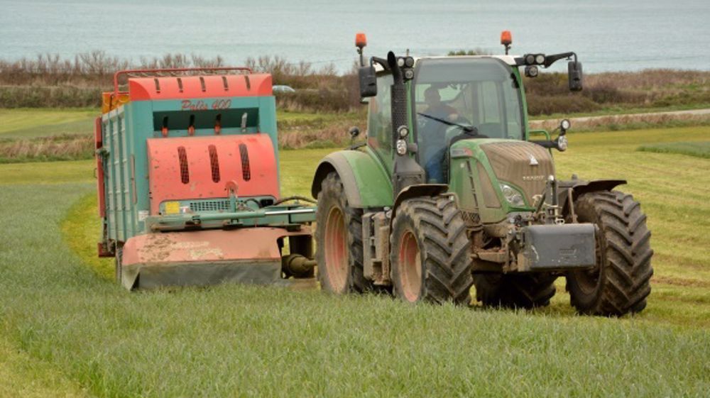 Choisir des prairies multi-espèces et des dérobées adaptées à la fauche
