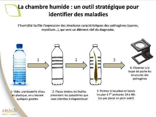 Figure 1 : Test de la bouteille