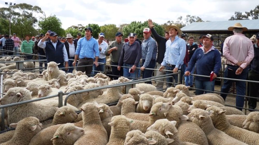 Tous les indicateurs en recul sauf les prix