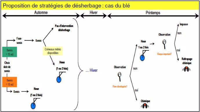 Désherbage mixte du blé.