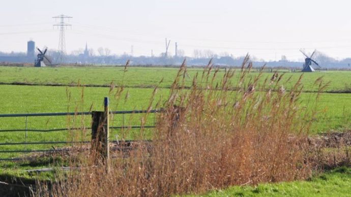 Les prairies reçoivent 190 unité d'N sous forme de lisier 200 UN minérales, soit 390 UN/ha/an. Les prairies reçoivent 190 unité d'N sous forme de lisier 200 UN minérales, soit 390 UN/ha/an.
