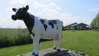 Le Dairy Campus, une « Silicon Valley laitière » Le Dairy Campus, une « Silicon Valley laitière »