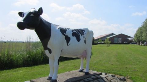 Le Dairy Campus, une « Silicon Valley laitière » Le Dairy Campus, une « Silicon Valley laitière »
