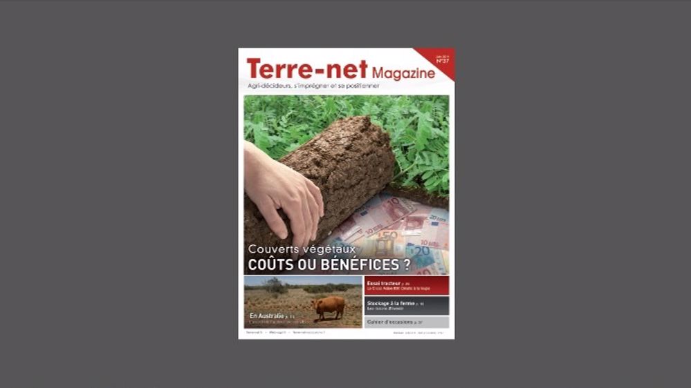 Couverts végétaux : coûts ou bénéfices ?