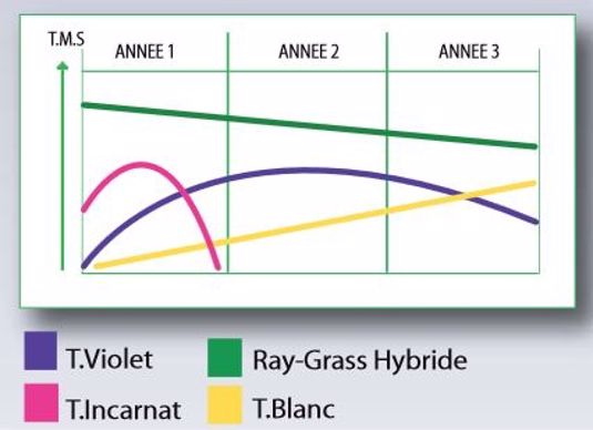 Mélopro Dial - prairie multi-espèces