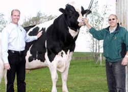La coop américaine Select Sires achète Genervation, au Canada La coop américaine Select Sires achète Genervation, au Canada