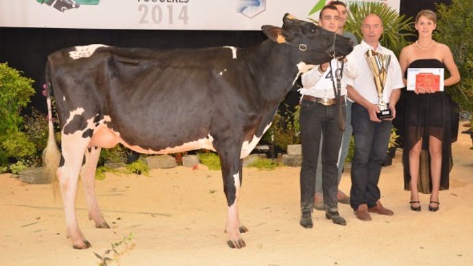 Noe Hoodja (Atwood x Shottle) – Gaec Durand (35)