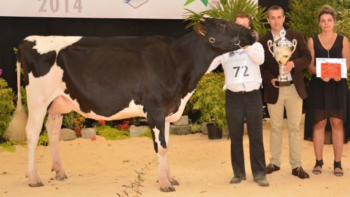 La Passion Azaelle (Atwood x Astre) – Earl De La Passion (45)