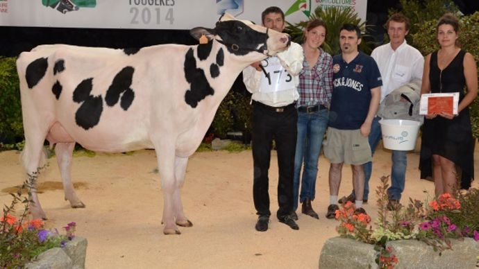 Twin Margo (Sanchez x Allen) – Gaec Leclerc (50)