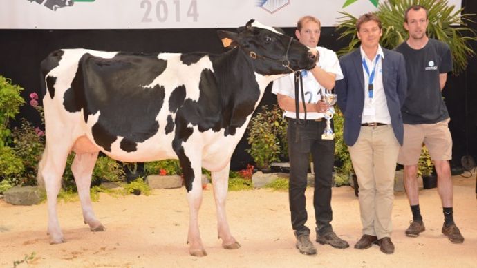 Godiva (Van Gogh x Aspen) – Gaec Toullec (29)