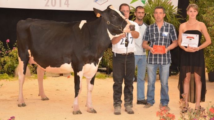 Duf Golf (Atwood x Skychief) – Gaec Duff’Holstein (65)