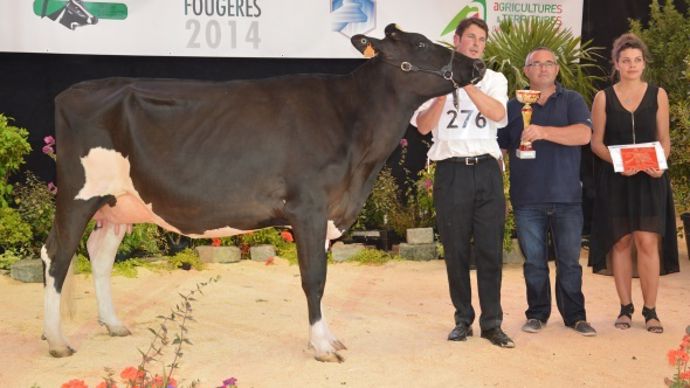 Botvilla Geleen (Talent Lad x Bolivia) – Gaec Botrel (22)