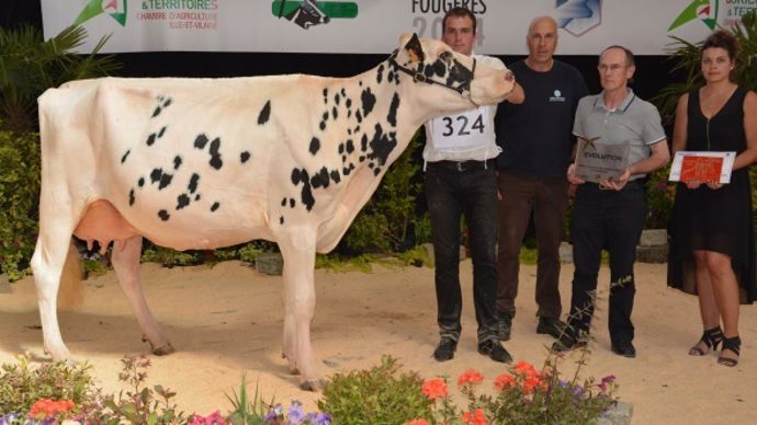 Capj Grace (Selvino x Bolton) – Gaec Cabon (29)
