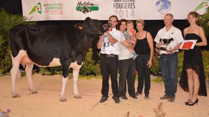 Fastar Ots (Goldwyn x Jesther) – Scl Ferme D’Autes (76)