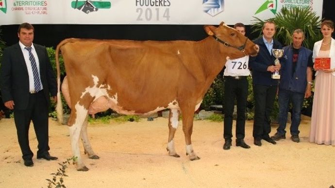 Mel’Fetiche (Dusk x Kite) – Earl De La Meloquerie (50)