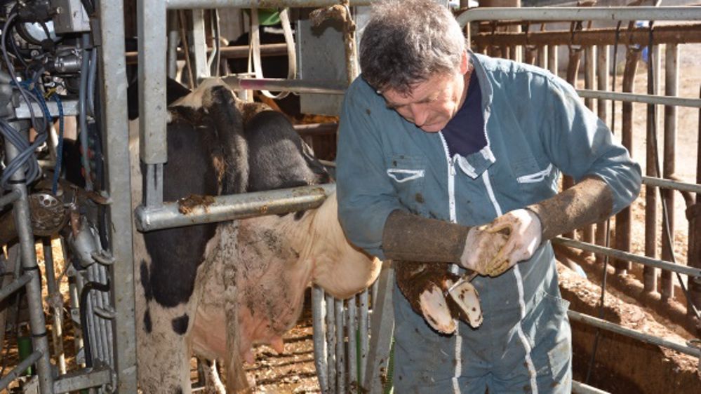 Les premiers index sur la santé du pied sont signés Gènes Diffusion