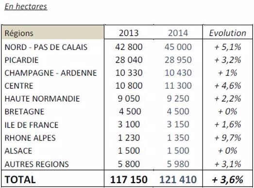 Emblavements 2014 en pommes de terre de conservation