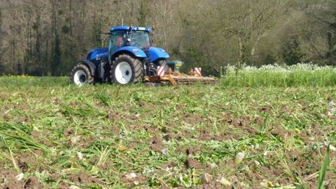 Réserver le meilleur accueil aux couverts végétaux