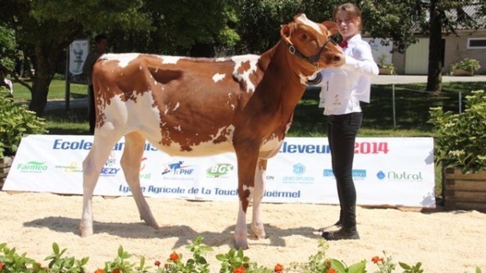 Les filles montent sur le podium