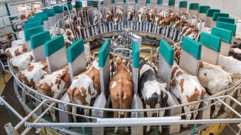 Gea commercialisera son robot roto Dairyproq en 2015 Gea commercialisera son robot roto Dairyproq en 2015
