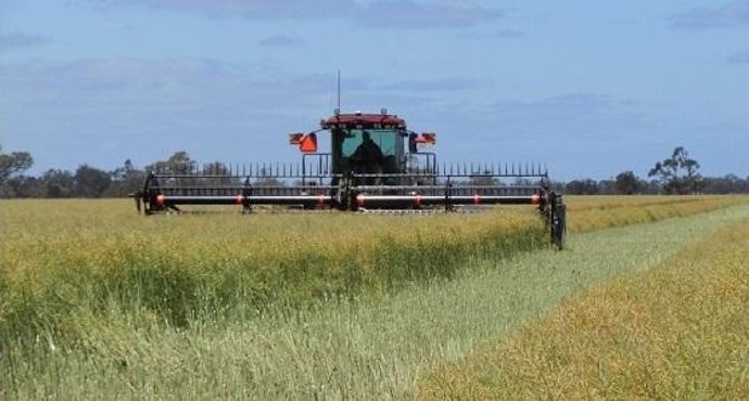 Moisson en Australie