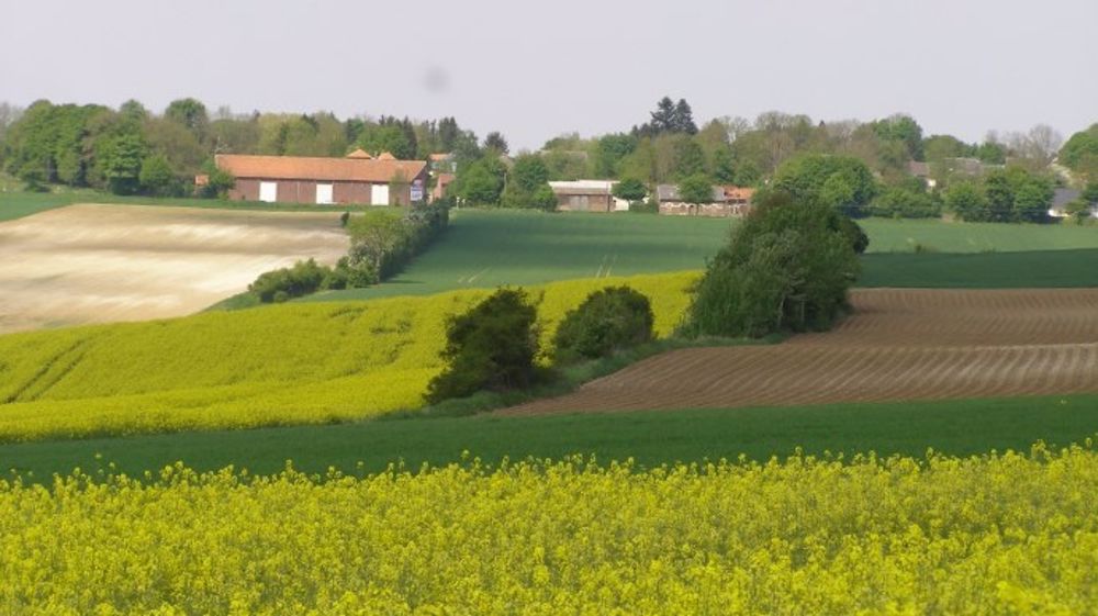 Drôle de rentrée