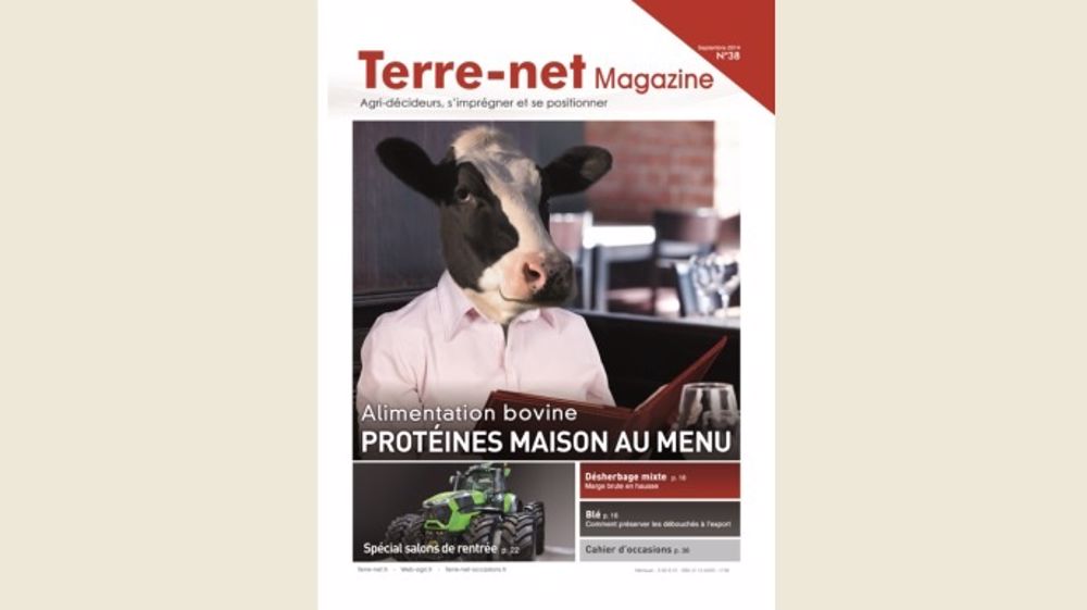 Alimentation bovine : protéines maison au menu