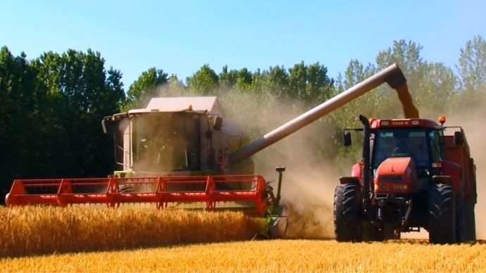 La crainte pèse sur la qualité des récoltes.