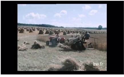 En pleine récolte, il y a 100 ans