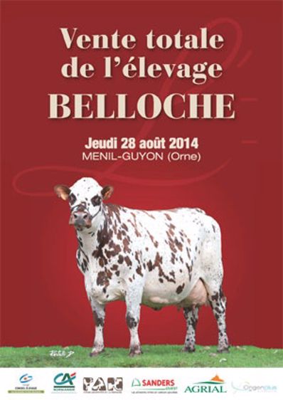 Vente de dispersion du troupeau Belloche