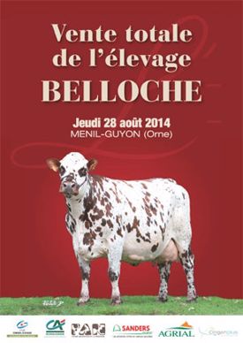 vente de dispersion du troupeau Belloche