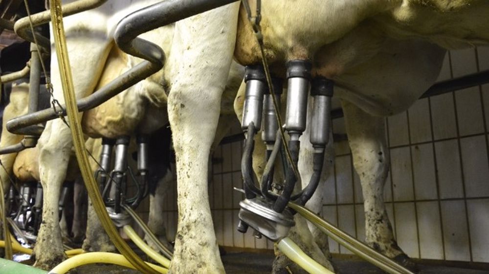 En juin, le prix des 1.000 l de lait entame son redressement saisonnier