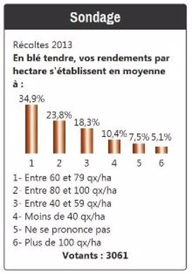 Sondage sur les rendements en blé 2013.