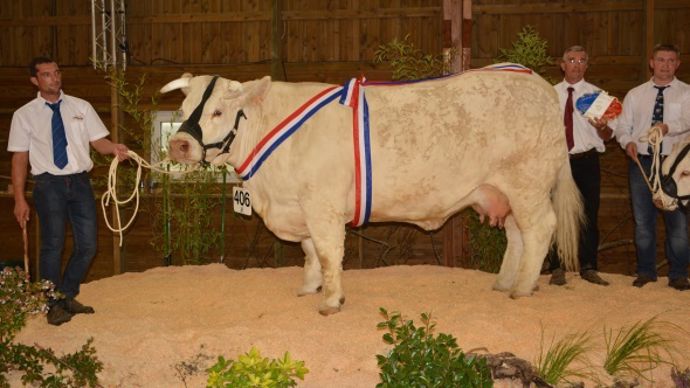 Delphine, la grande championne.