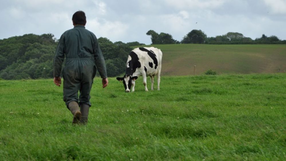 « Eleveurs, le dernier tabou »