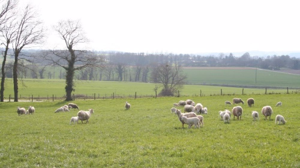 Baisse de la production au premier semestre 2014