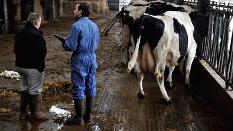 Points de contrôle sur la lutte contre les maladies et les molécules interdites