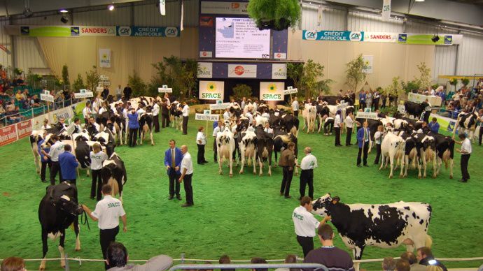 concours  bovins au Space
