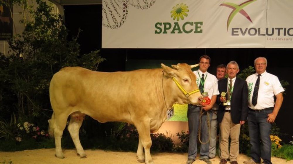 Futée se hisse sur la plus haute marche du podium