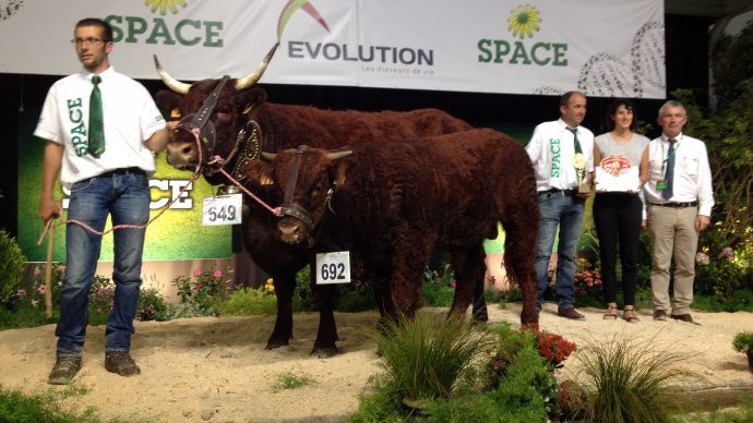 Gentianne, championne femelle