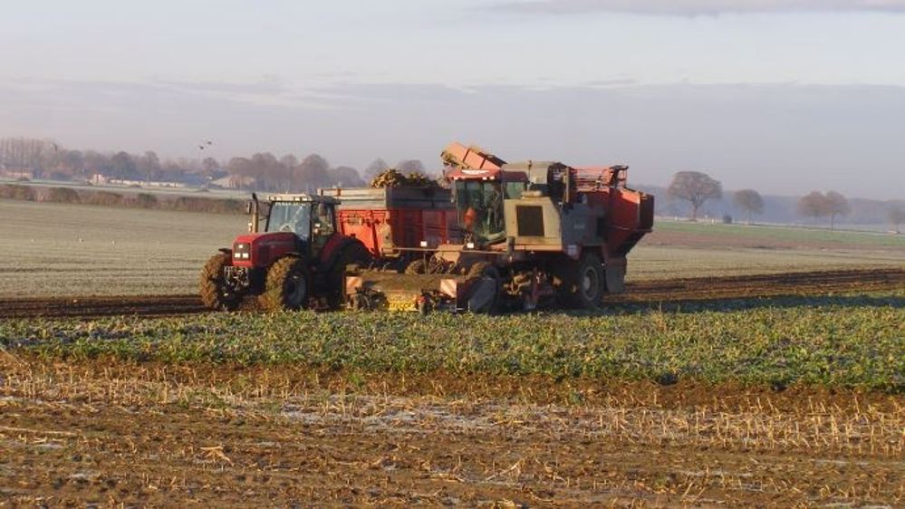Récolte record attendue en France