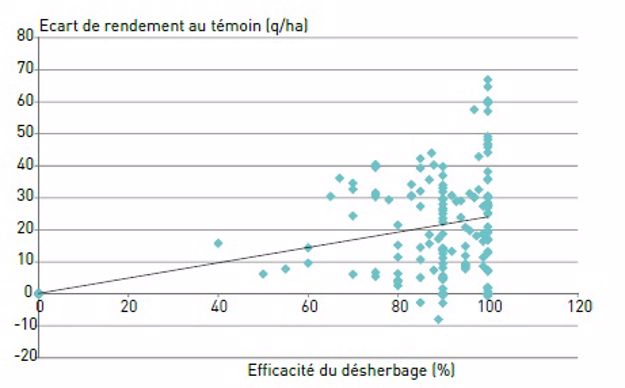 Rendement selon efficacité du désherbage.
