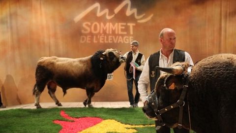 Diamand et Alpine trônent au Sommet