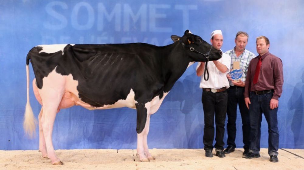 Dijs Lauria une nouvelle fois au Sommet de l'Ethna