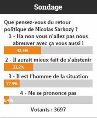 Sondage sur le retour de Nicolas Sarkozy en politique